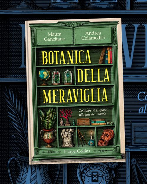 Maura Gancitano presenta Botanica della meraviglia #fuoriluogo OFF