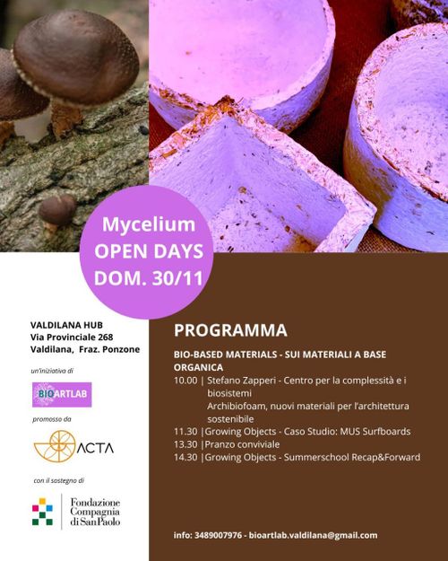 Mycelium OPEN DAYS