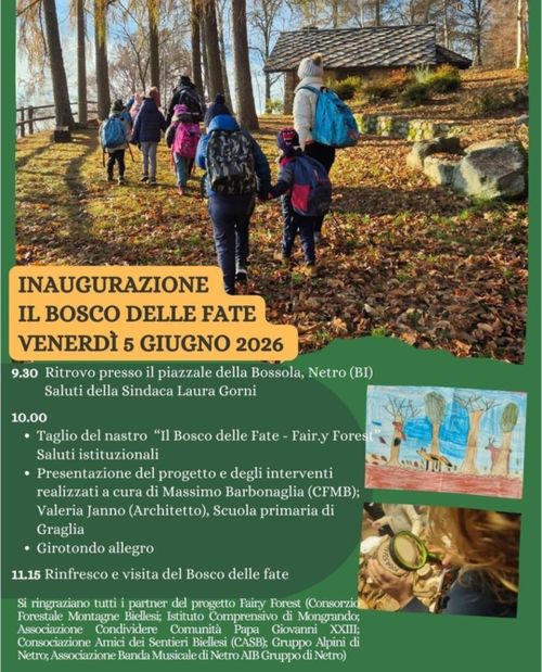 Il bosco delle Fate
