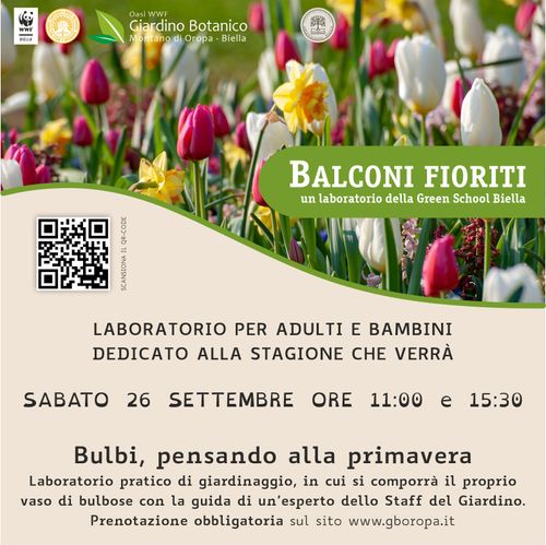 Bulbi, pensando alla primavera