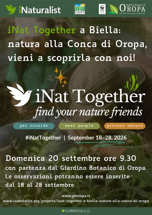 iNat Together a Biella... Natura alla Conca di Oropa