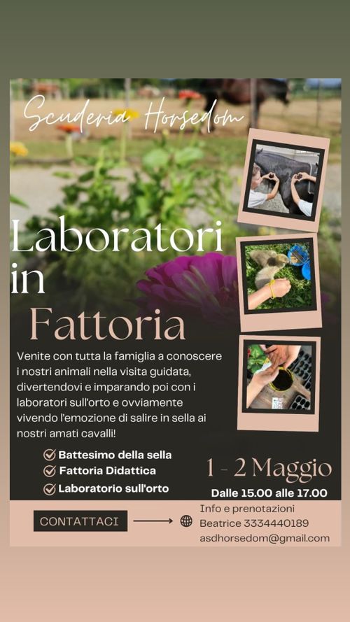 Laboratori in Fattoria 