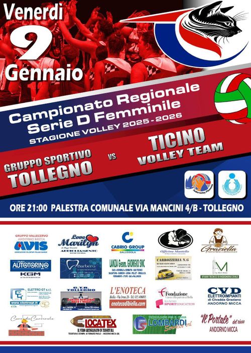 Pallavolo femminile serie D