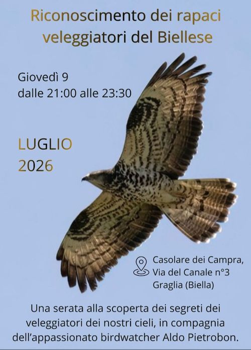 Riconoscimento dei rapaci