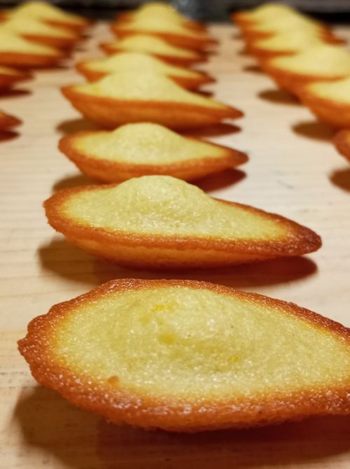telier di Biscotteria Francese e Madeleine