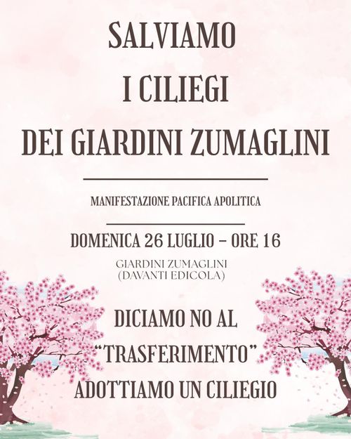 Salviamo i ciliegi dei giardini Zumaglini