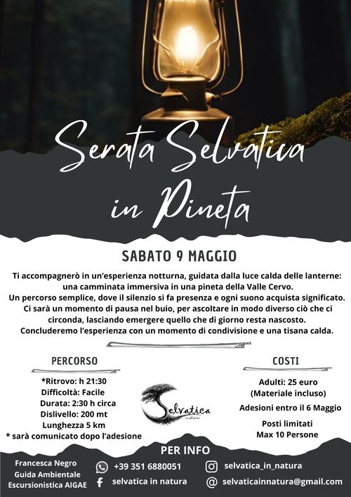 Serata Selvatica in Pineta
