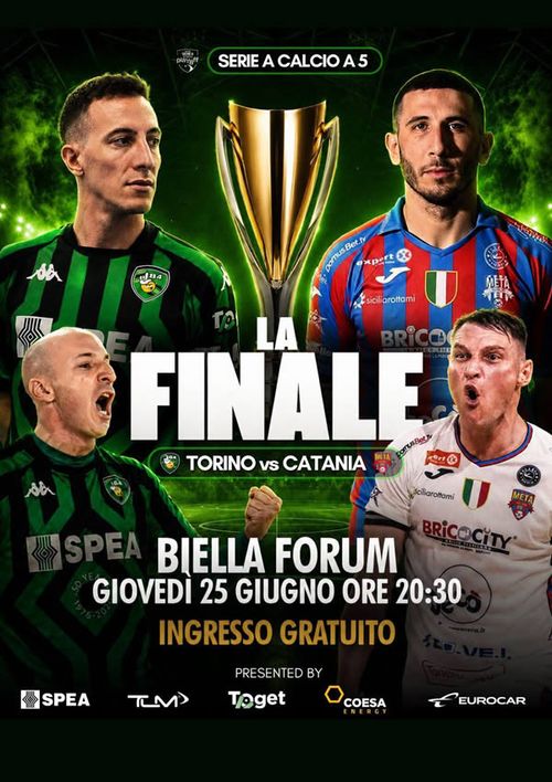 Torino vs Catania - La finale