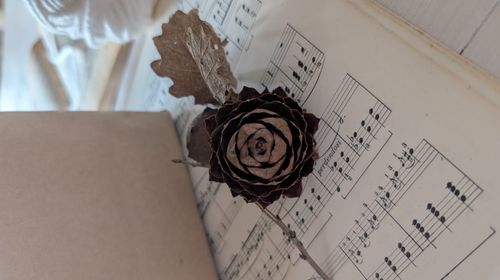 Gift Wrapping Ecosostenibile